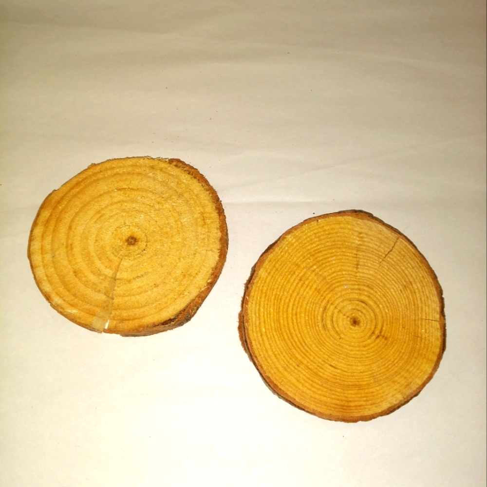 🎉 FREE pick item!🎉 2 round (3 1/2 inch circles) real wood crafting rounds, NEW